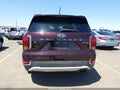 2020 Hyundai Palisade — photo 17 of 17 | VIN KM8R2DHE6LU027589