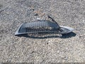 2020 Toyota Corolla — photo 12 of 17 | VIN 5YFEPRAE8LP114323