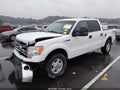 2014 Ford F-150 — photo 2 of 17 | VIN 1FTFW1EF0EFB17884
