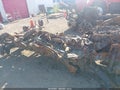 2024 Jeep Wrangler — photo 8 of 10 | VIN 1C4PJXEG0RW368859