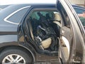 2019 Ford Edge — photo 8 of 16 | VIN 2FMPK4J92KBB43235