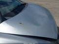 2011 Honda Civic — photo 21 of 22 | VIN 19XFA1F55BE020304