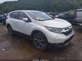 2019 Honda CR-V — photo 1 of 16 | VIN 2HKRW2H54KH618123