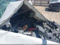 2009 GMC Sierra 1500 — photo 10 of 12 | VIN 3GTEC23JX9G274358