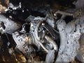 2025 Subaru Outback — photo 10 of 10 | VIN 4S4BTANC4S3332769