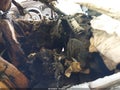 2025 Subaru Outback — photo 5 of 10 | VIN 4S4BTANC4S3332769