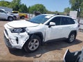 2019 Toyota RAV4 — photo 14 of 17 | VIN JTMW1RFV3KD007115