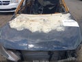 2020 Hyundai Elantra — photo 10 of 16 | VIN KMHD84LFXLU067702