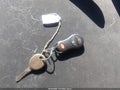 2004 Dodge Ram 1500 — photo 11 of 19 | VIN 1D7HU18DX4J229330