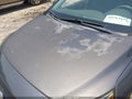 2018 Hyundai Ioniq Hybrid — photo 14 of 19 | VIN KMHC65LC6JU099928