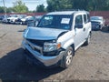 2010 Honda Element — photo 6 of 17 | VIN 5J6YH1H73AL001575