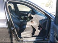 2010 Mercedes-Benz C-Class — photo 5 of 16 | VIN WDDGF7HB1AF366324