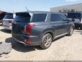 2020 Hyundai Palisade — photo 4 of 17 | VIN KM8R14HE5LU071828