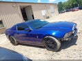2014 Ford Mustang — photo 13 of 16 | VIN 1ZVBP8AM3E5317945