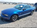 2006 Ford Mustang — photo 2 of 19 | VIN 1ZVHT80N765265835
