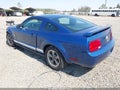 2006 Ford Mustang — photo 3 of 19 | VIN 1ZVHT80N765265835