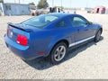 2006 Ford Mustang — photo 4 of 19 | VIN 1ZVHT80N765265835