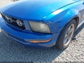 2006 Ford Mustang — photo 6 of 19 | VIN 1ZVHT80N765265835