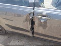 2011 Toyota Camry — photo 13 of 14 | VIN 4T1BF3EK7BU205020