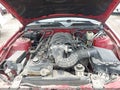 2008 Ford Mustang — photo 10 of 16 | VIN 1ZVHT82H485150846