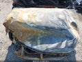 2020 Chevrolet Blazer — photo 10 of 10 | VIN 3GNKBCRS1LS621454