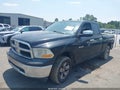 2010 Dodge Ram 1500 — photo 2 of 10 | VIN 1D7RV1GP9AS224445