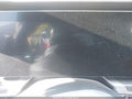 2025 BMW 7 Series — photo 14 of 16 | VIN WBA23EH04SCU69771