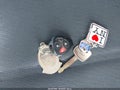 2008 Toyota Yaris — photo 11 of 12 | VIN JTDBT923981219136