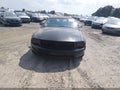 2007 Ford Mustang — photo 12 of 18 | VIN 1ZVFT84N075340801
