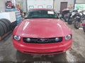 2006 Ford Mustang — photo 12 of 16 | VIN 1ZVFT80N165140417