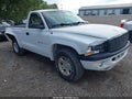 2002 Dodge Dakota — photo 1 of 16 | VIN 1B7FL36X92S708729