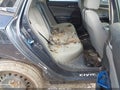 2019 Honda Civic — photo 8 of 16 | VIN 2HGFC2F68KH532461