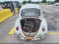 1967 Volkswagen Beetle — photo 15 of 19 | VIN 117490015