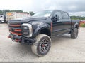2024 Ford F-250 Super Duty — photo 2 of 15 | VIN 1FT8W2BM6REE46148