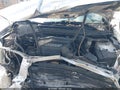 2003 Toyota RAV4 — photo 10 of 17 | VIN JTEGH20V830119512