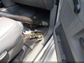 2009 Dodge Ram 5500 — photo 11 of 17 | VIN 3D6WD76LX9G532318
