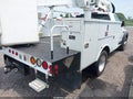 2009 Dodge Ram 5500 — photo 4 of 17 | VIN 3D6WD76LX9G532318