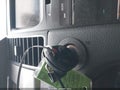 2013 Ford Taurus — photo 11 of 11 | VIN 1FAHP2E81DG156527