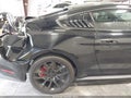 2019 Ford Mustang — photo 8 of 16 | VIN 1FA6P8TH3K5130131