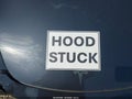 2025 Tesla Model 3 — photo 10 of 10 | VIN 5YJ3E1EA8SF969555