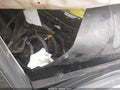 2017 Chevrolet Volt — photo 5 of 15 | VIN 1G1RD6S52HU110598