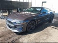 2023 Ford Mustang — photo 2 of 19 | VIN 1FA6P8TH9P5101045