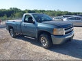 2007 Chevrolet Silverado 1500 — photo 1 of 13 | VIN 1GCEC14X07Z620671