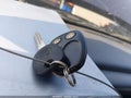 2006 Chevrolet Silverado 1500 — photo 11 of 16 | VIN 1GCEK19B46Z127428