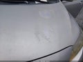 2009 Toyota Corolla — photo 6 of 16 | VIN 1NXBU40E69Z145934