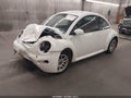 2003 Volkswagen Beetle — photo 2 of 12 | VIN 3VWBK21C83M415556