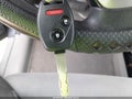 2012 Honda CR-V — photo 11 of 17 | VIN JHLRM4H54CC000933