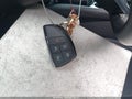 2025 Chevrolet Blazer — photo 11 of 16 | VIN 3GNKDBRM1SS178999