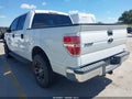 2010 Ford F-150 — photo 3 of 18 | VIN 1FTFW1CV0AKB56048