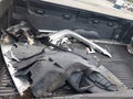 2011 Chevrolet Silverado 2500 — photo 12 of 22 | VIN 1GC1KXC8XBF225390
